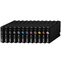 PGI29: 12 cartouches compatibles pour Canon Pixma Pro 1