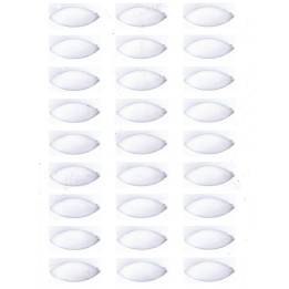 pre-cut edible round