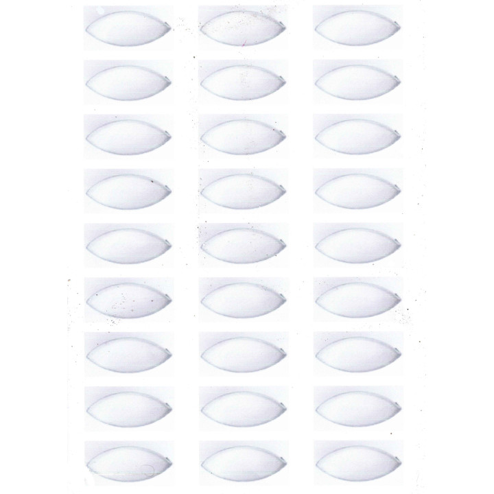 pre-cut edible round