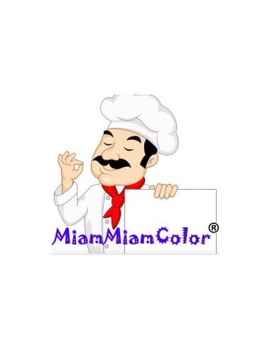 4 x 100ml Canon food ink