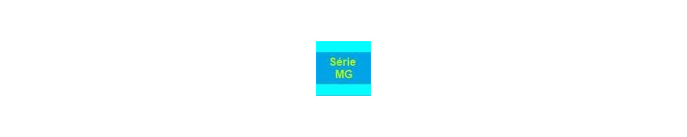 Cartouche d'encre alimentaire pour imprimantes Canon MG