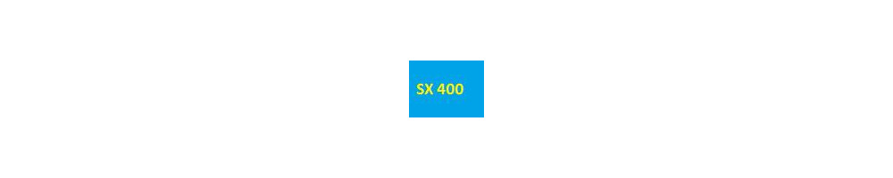 cartouche d'encre SX 405