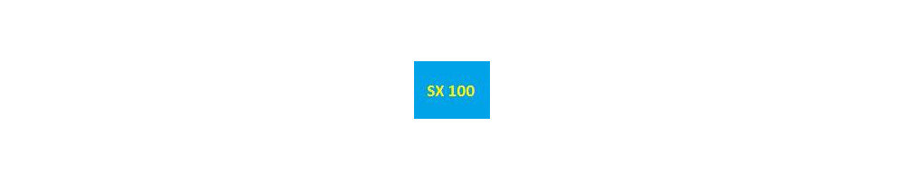 cartouche d'encre SX 100