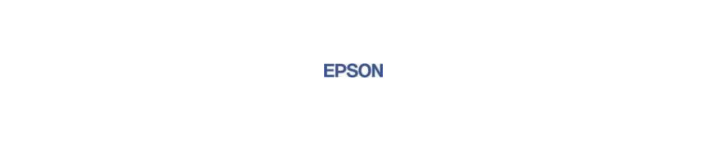 cartouche pour Epson DX5000