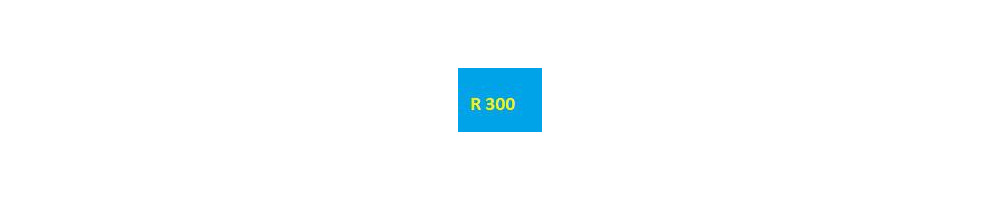 cartouche pour Epson R200 