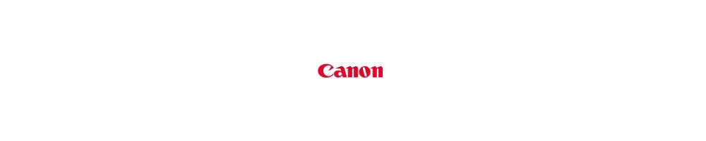 cartouche d'encre pour Canon S900