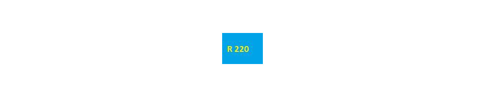 série Epson R220