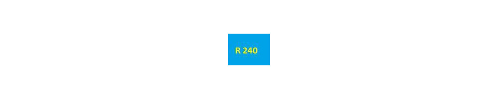 cartouche d'encre Epson R240