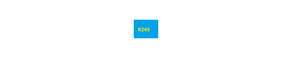 cartouche d'encre Epson R245