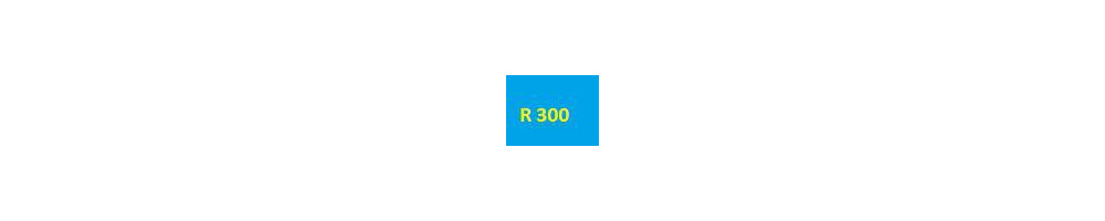 cartouche pour Epson R200 