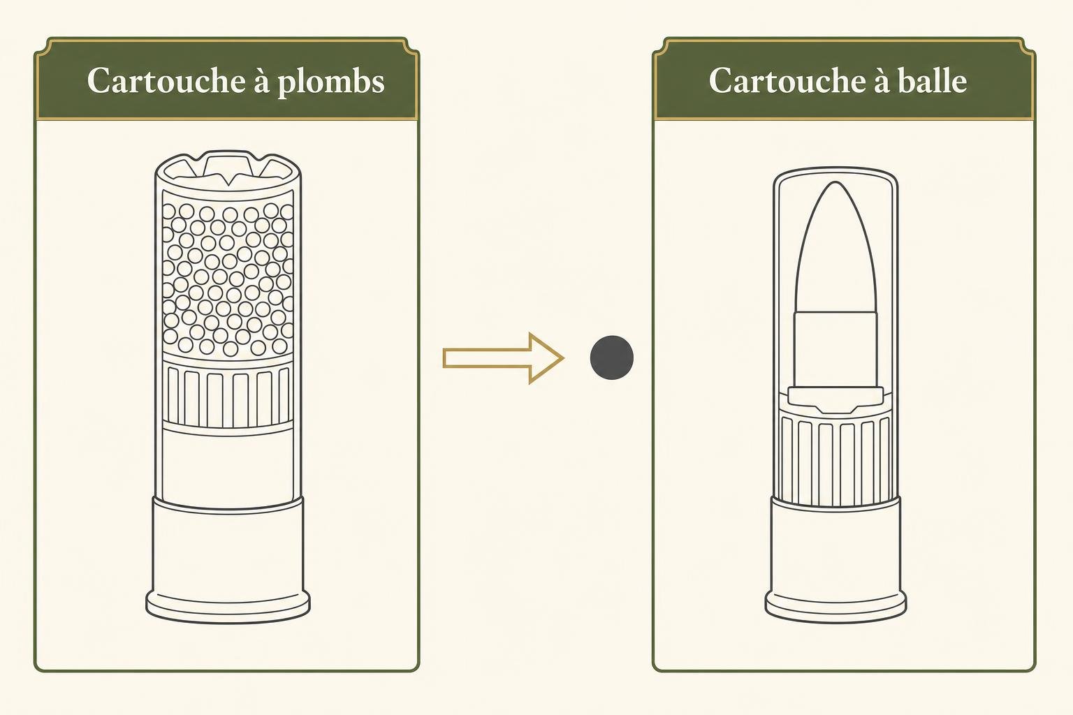 Cartouche à plombs et cartouche à balle visualisées séparément, avec flèche indiquant le passage d’un type à l’autre.